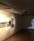 Body and other small Tales, Artspace16.JPG