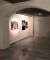 Body and other small Tales, Artspace8.JPG