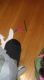 1_1374.jpg