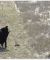Giorgos Gerontides, A Piece of Land, 3 channel video.jpg